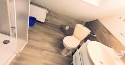 FMI 3-ROOMS APARTMENT (OG-2)