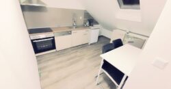 FMI 3-ROOMS APARTMENT (OG-2)