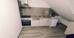 FMI 3-ROOMS APARTMENT (OG-2)